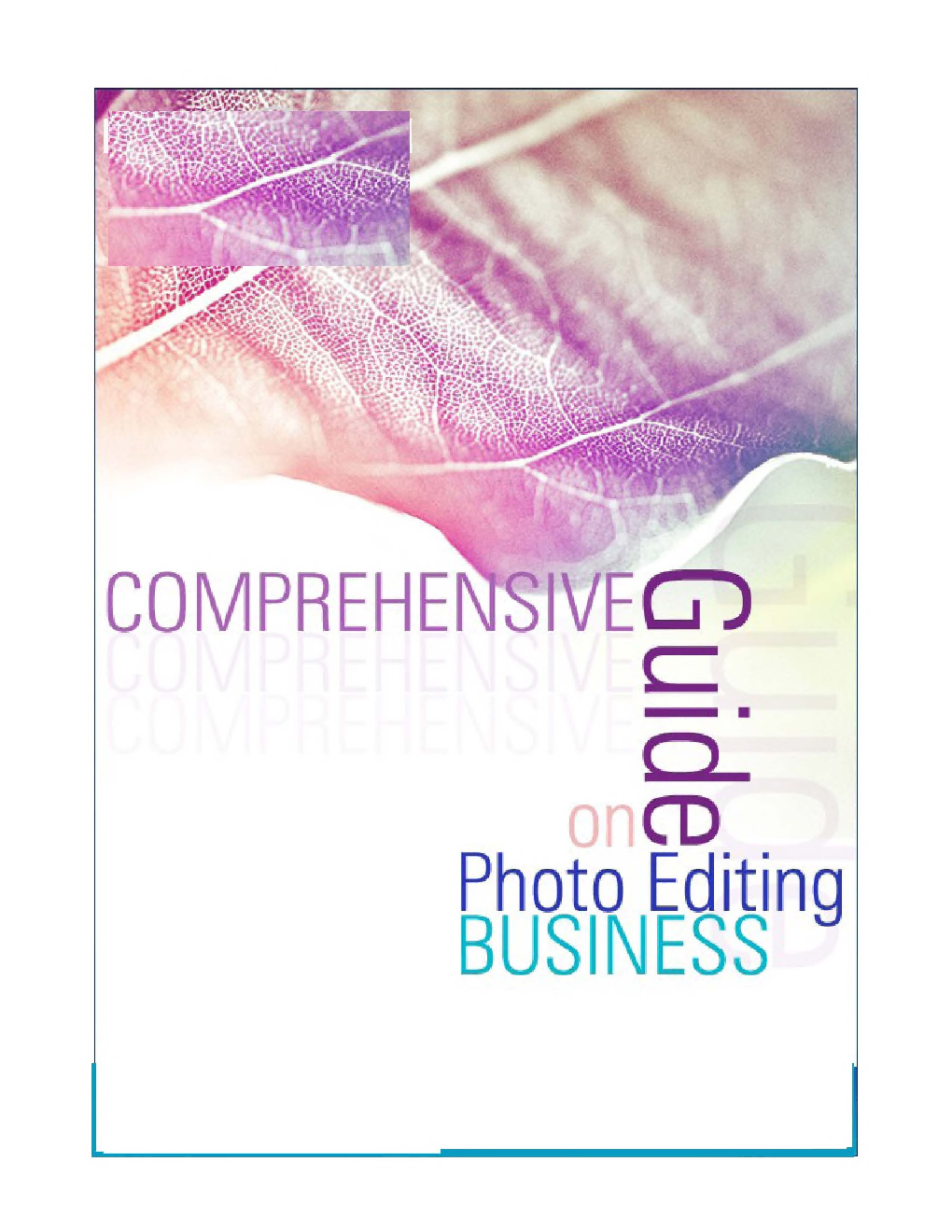 Comprehensive Guide On Photo Editing Business - Page 1