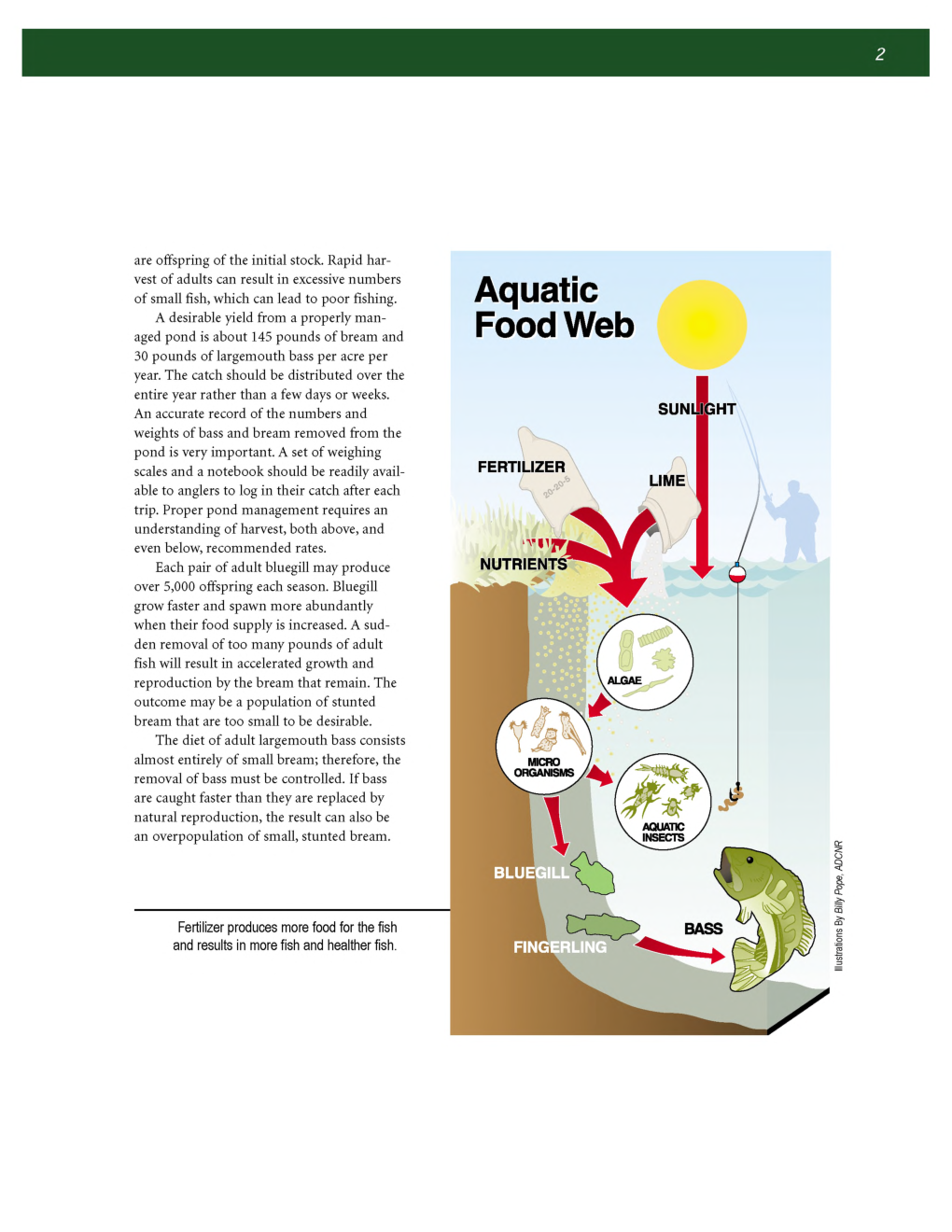 Sportfish Management In Alabama Ponds - Page 4
