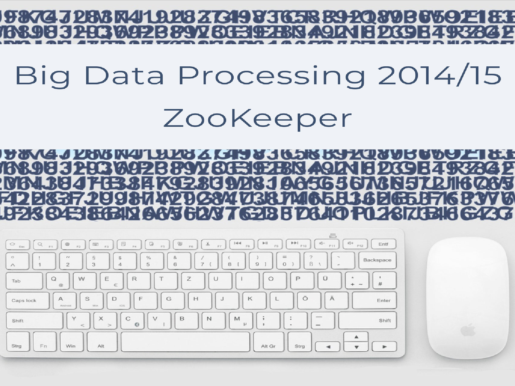 Big Data Processing 2014/15 Zookeeper - Page 1