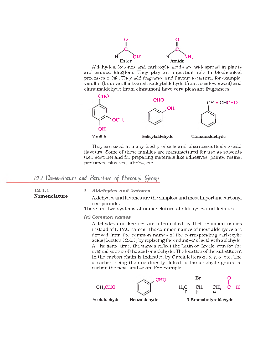 CBSE Aldehydes, Ketones And Carboxylic Acids (Chemistry) Study Material For Class 12 - Page 3