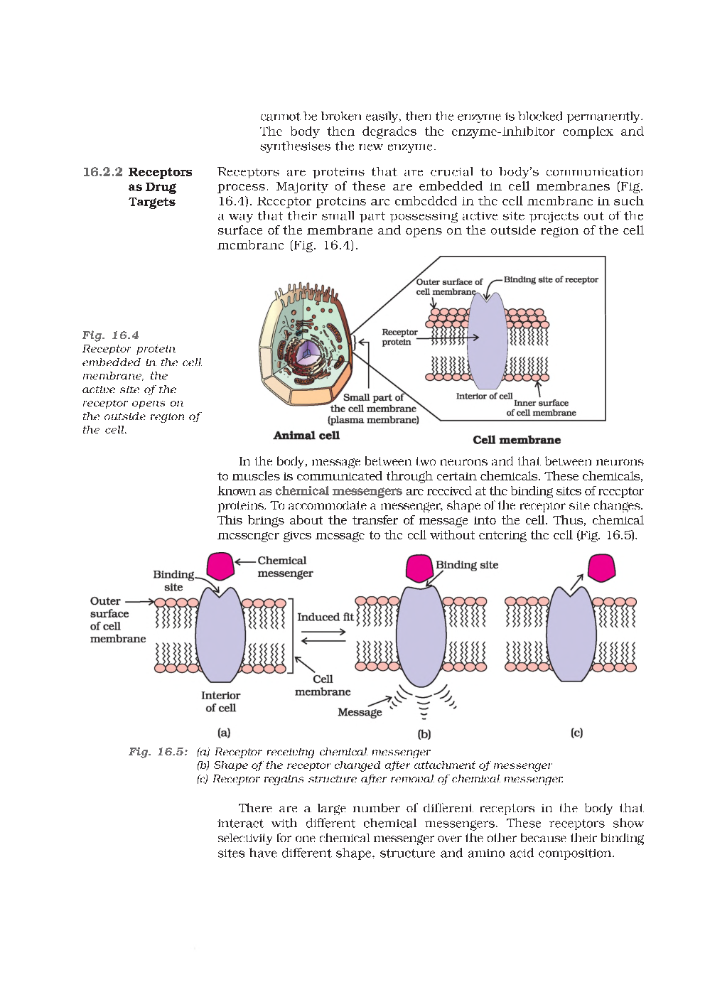 CBSE Chemistry In Everyday Life (Chemistry) Study Material For Class 12 - Page 5