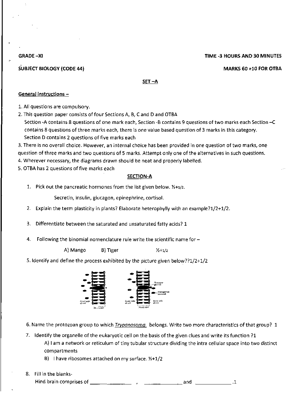 CBSE Class XI Biology Previous Year Question Paper 2016 - Page 2