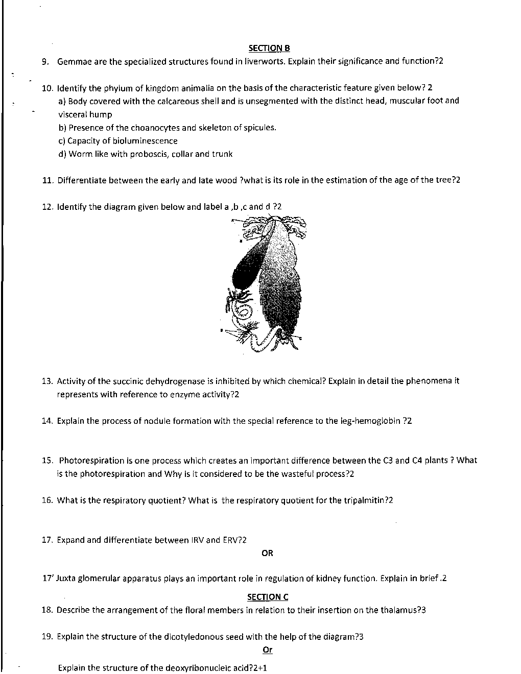 CBSE Class XI Biology Previous Year Question Paper 2016 - Page 3