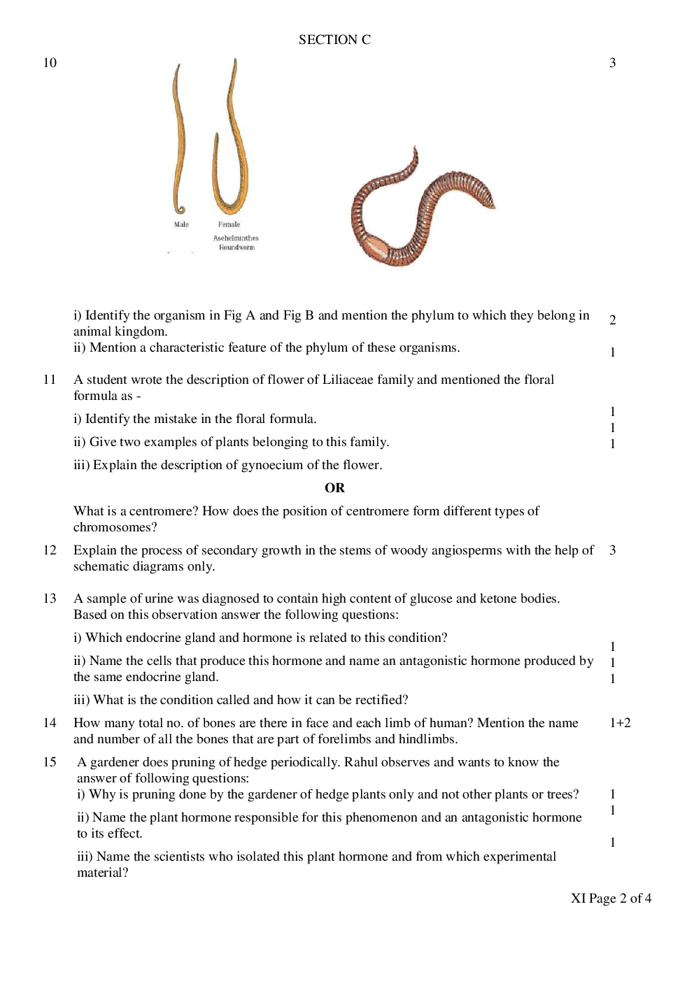 CBSE Class XI Biology Previous Year Question Paper 2018 - Page 3