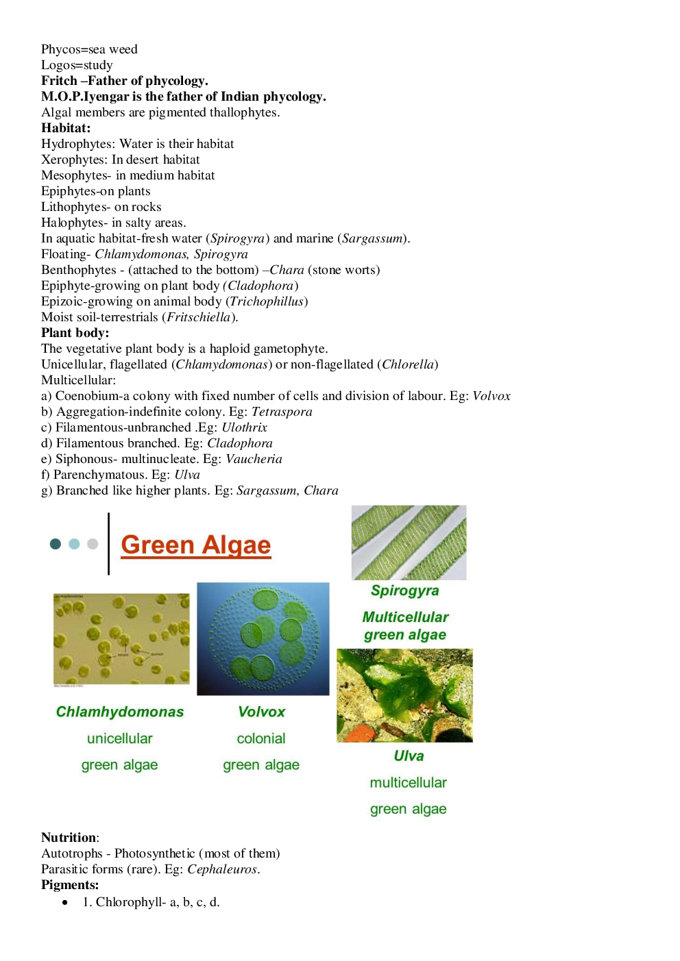 CBSE Class-11  Biology Revision Notes For Plant Kingdom - Page 3