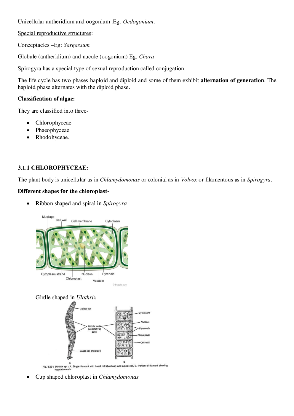 CBSE Class-11  Biology Revision Notes For Plant Kingdom - Page 5