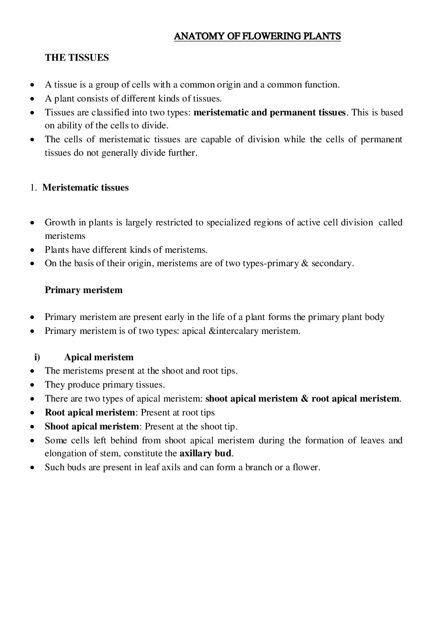 CBSE Class-11  Biology Revision Notes For Anatomy of Flowering Plants - Page 2
