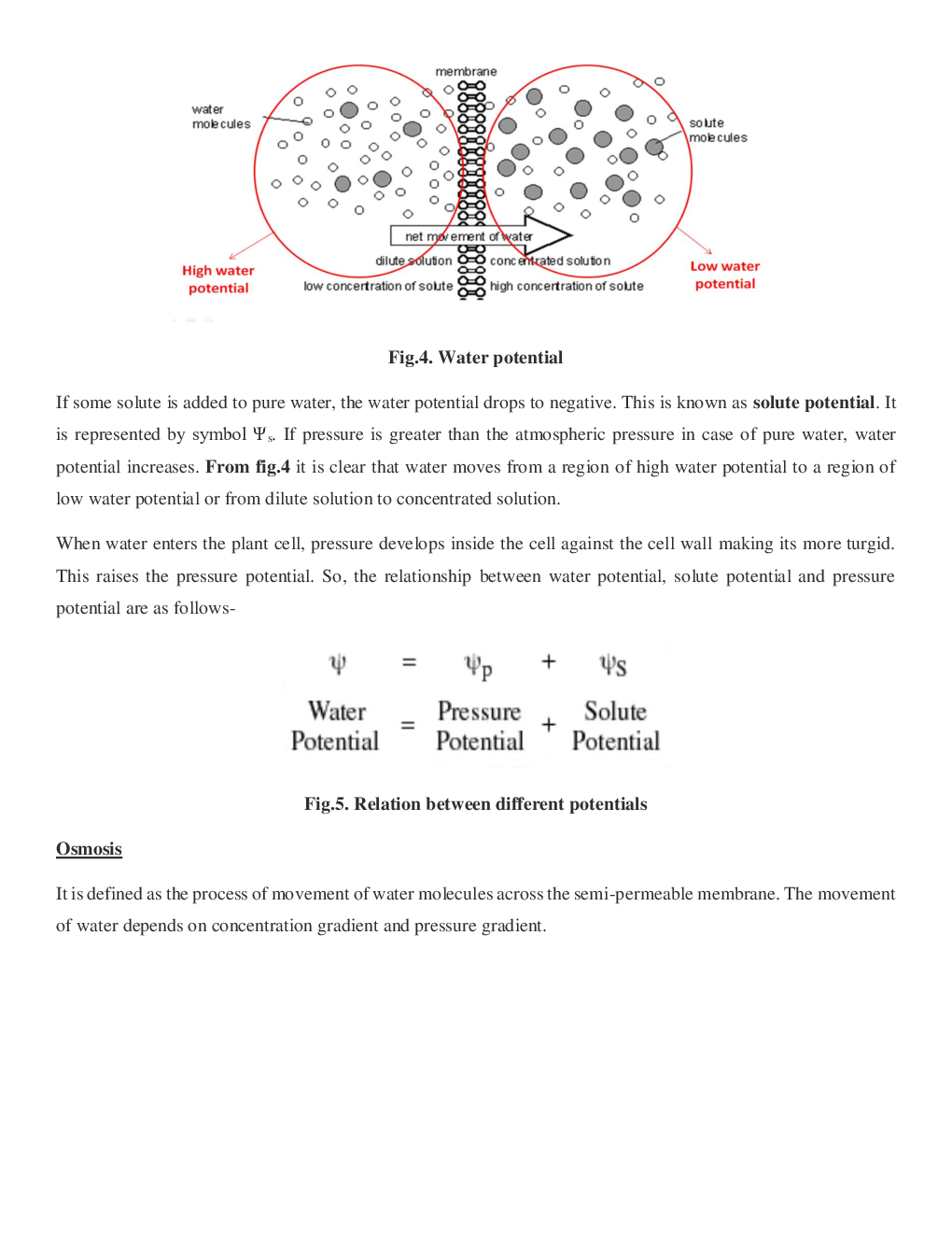 CBSE Class-11  Biology Revision Notes For Transport in Plants - Page 4