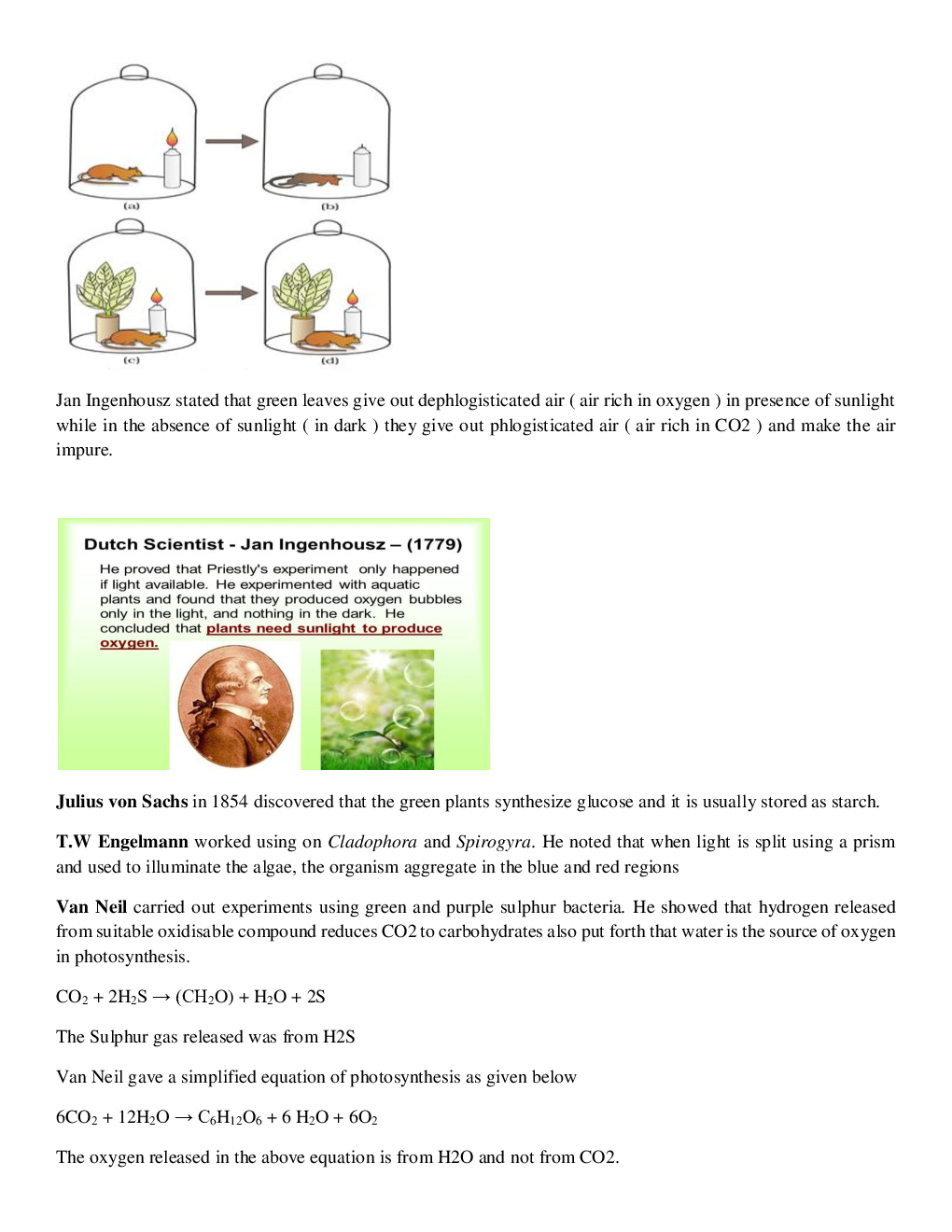 CBSE Class-11  Biology Revision Notes For Photosynthesis in Higher Plants - Page 4