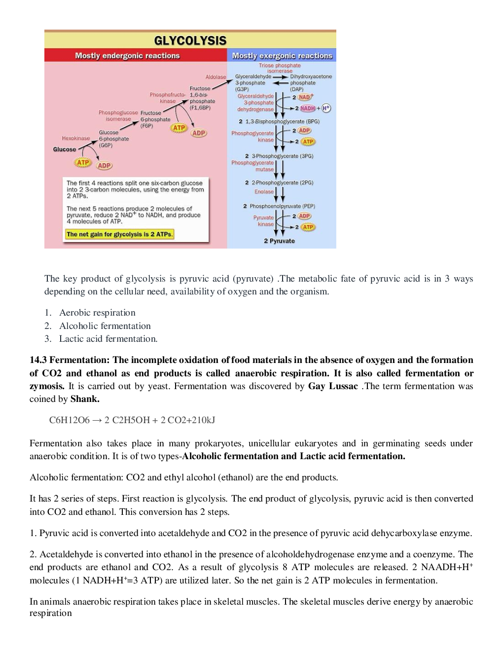 CBSE Class-11  Biology Revision Notes For Respiration in Plants - Page 5