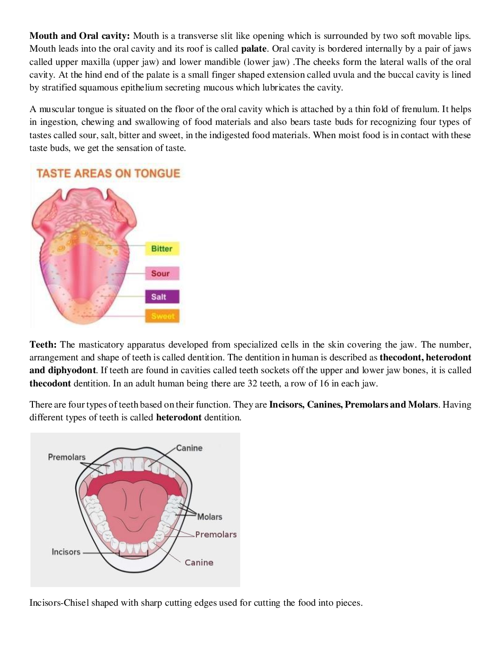 CBSE Class-11  Biology Revision Notes For Digestion and Absorption - Page 3