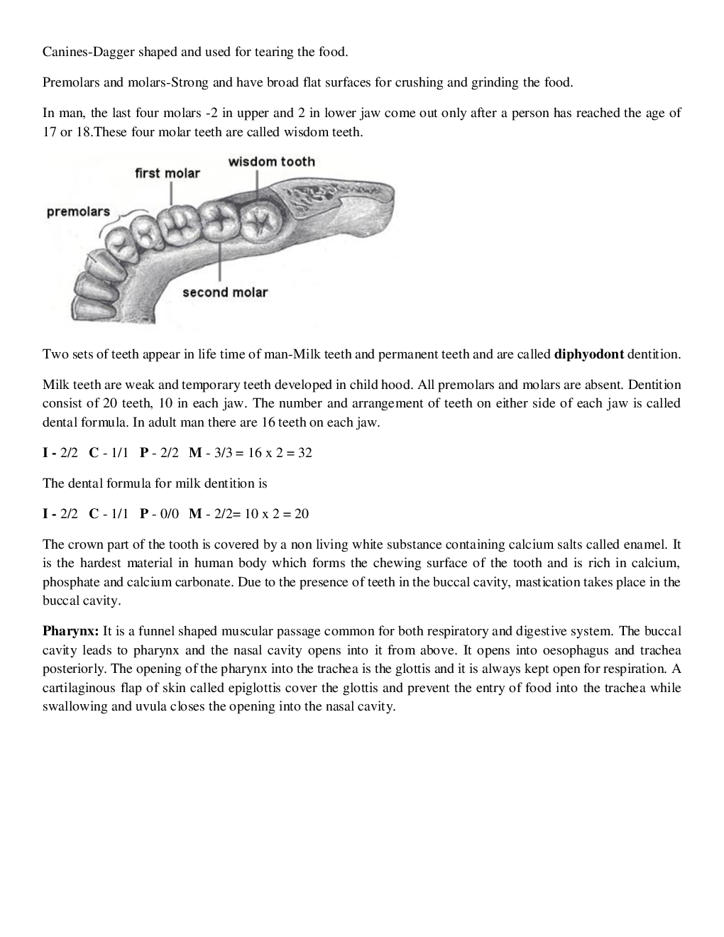 CBSE Class-11  Biology Revision Notes For Digestion and Absorption - Page 4