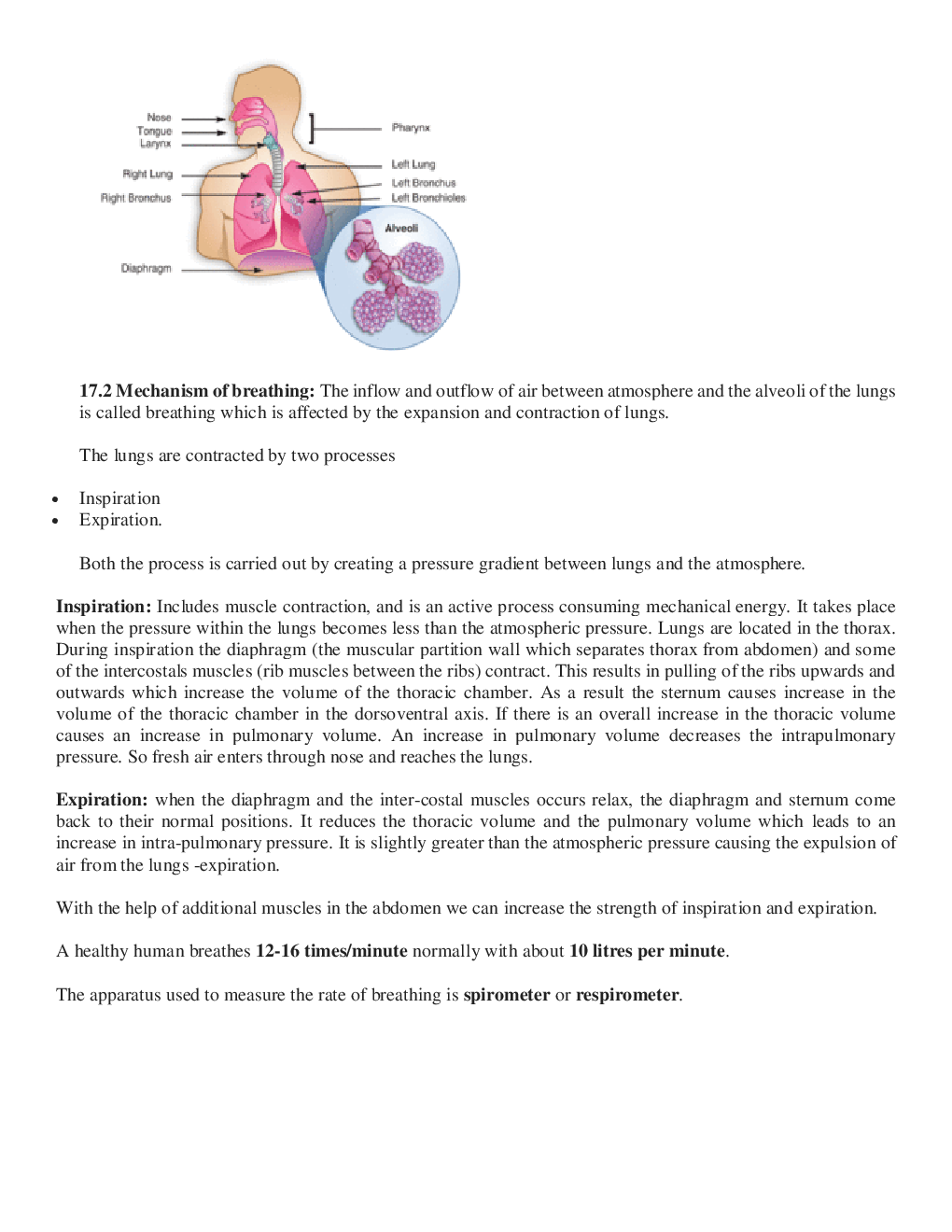 CBSE Class-11  Biology Revision Notes For Breathing and Exchange of Gases - Page 5