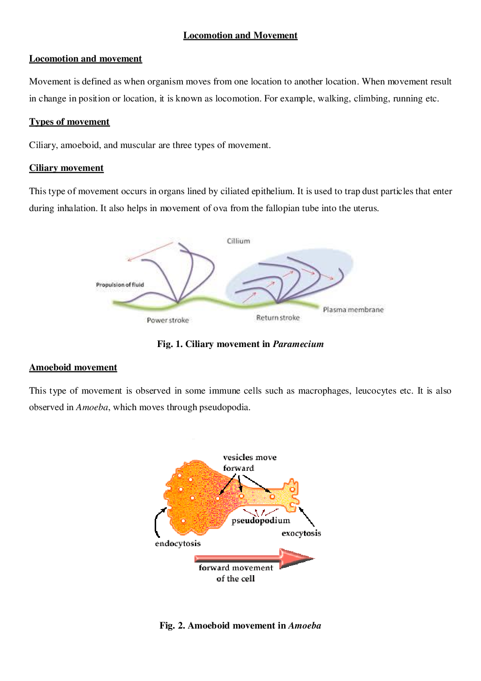 CBSE Class-11  Biology Revision Notes For Locomotion and Movement - Page 2