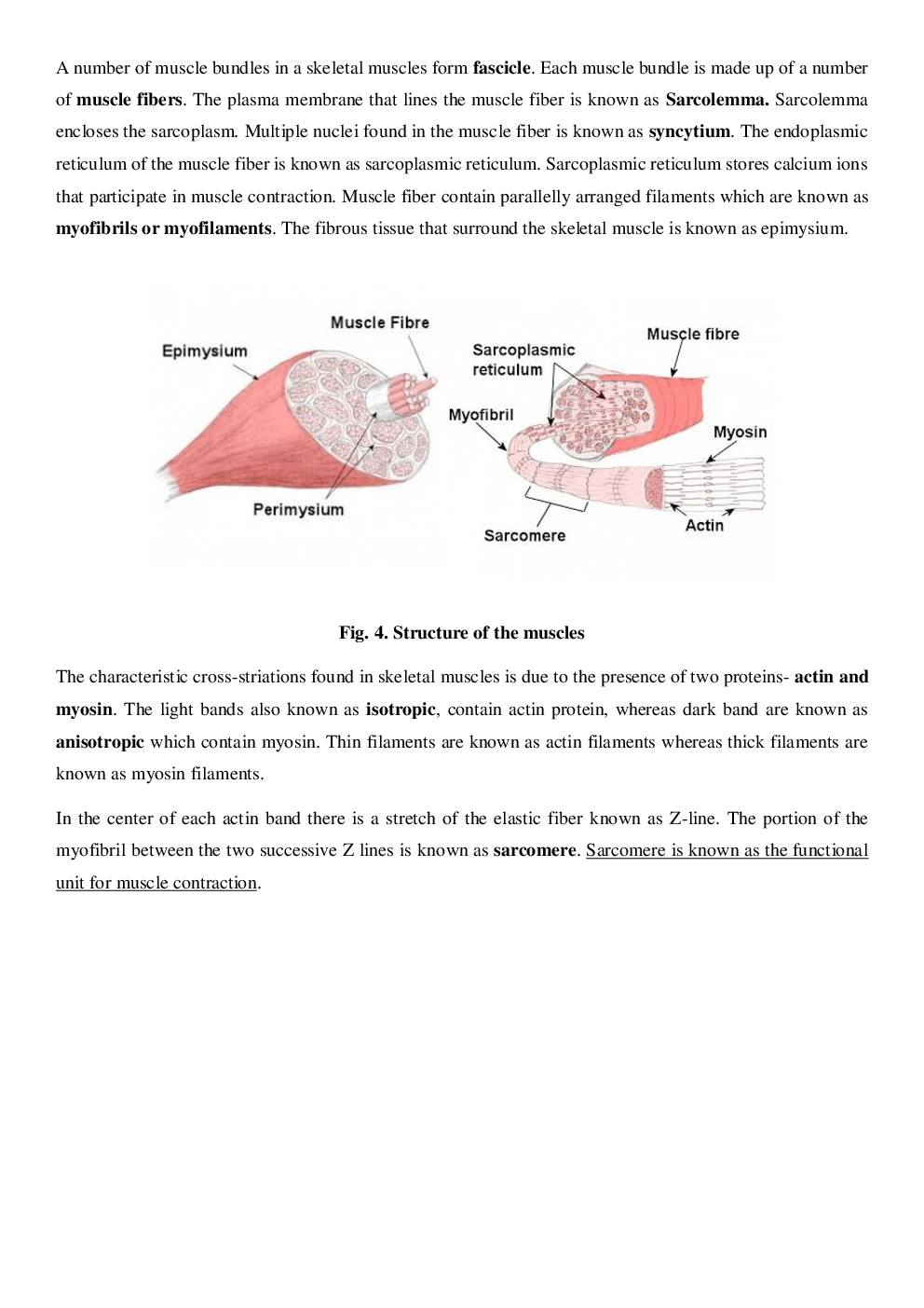 CBSE Class-11  Biology Revision Notes For Locomotion and Movement - Page 4