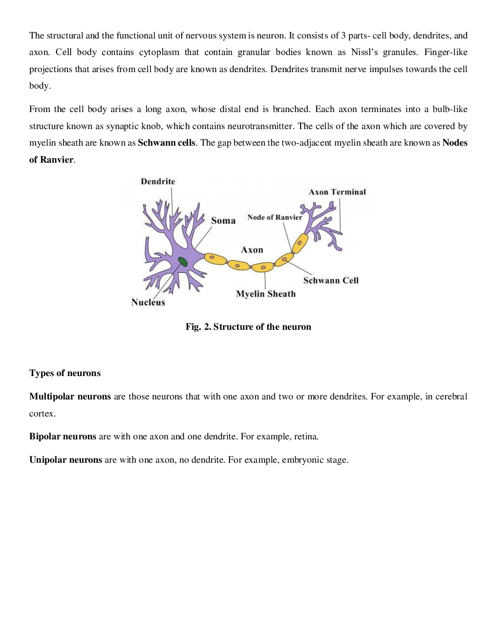 CBSE Class-11  Biology Revision Notes For Neural Control and Coordination - Page 3