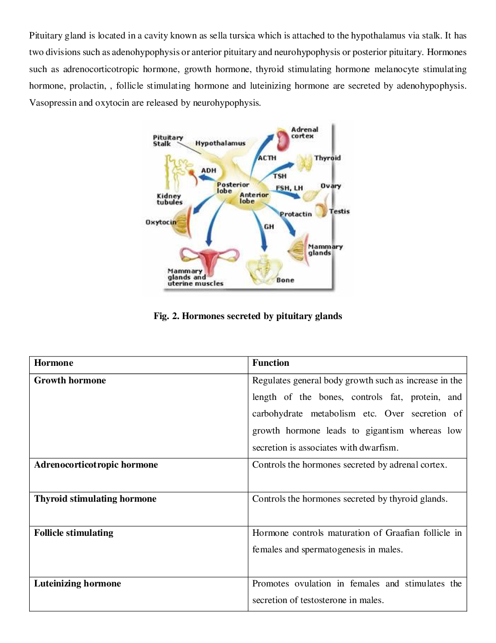 CBSE Class-11  Biology Revision Notes For Chemical Coordination and integration - Page 3
