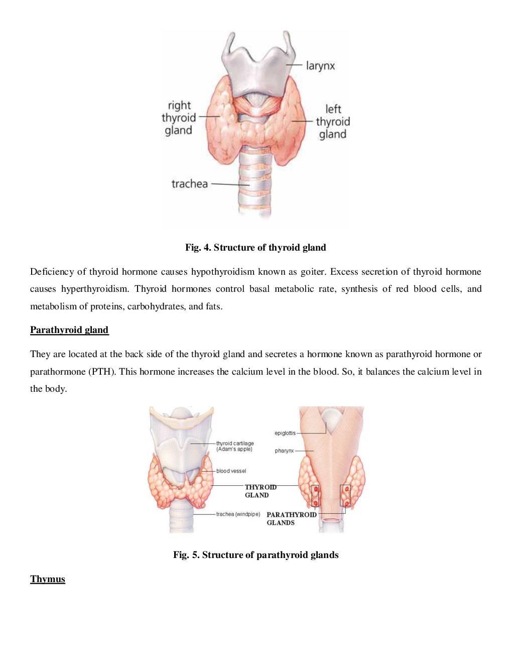 CBSE Class-11  Biology Revision Notes For Chemical Coordination and integration - Page 5