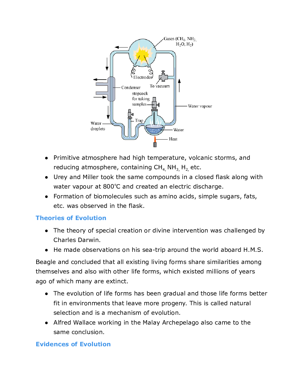 CBSE Class 12 Biology Revision Notes Evolution - Page 3