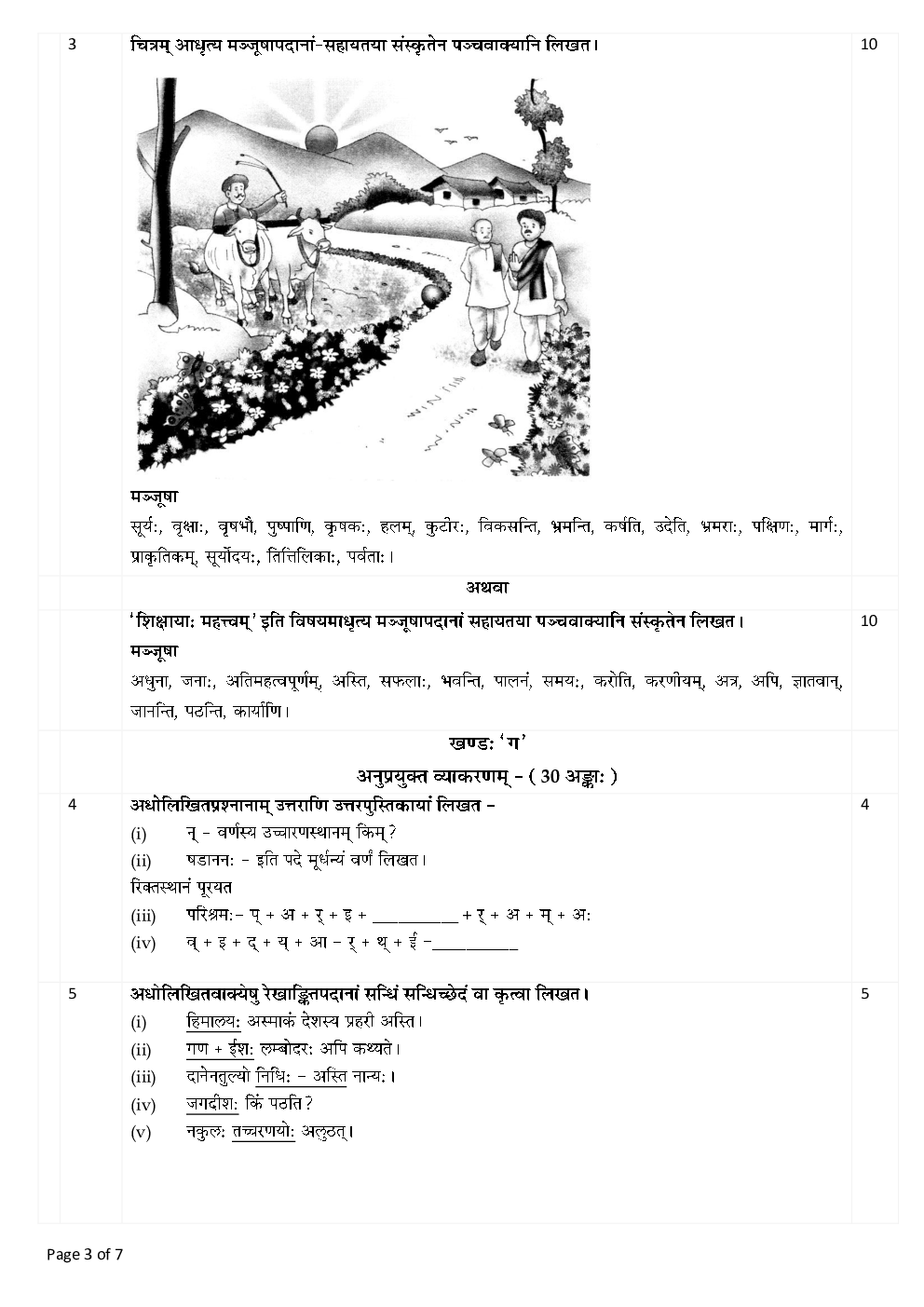 CBSE Sanskrit Class IX Previous Year Question Paper 2017 - Page 4