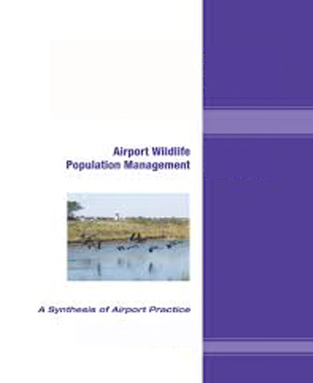 Airport Wildlife Popolation Management - Page 1