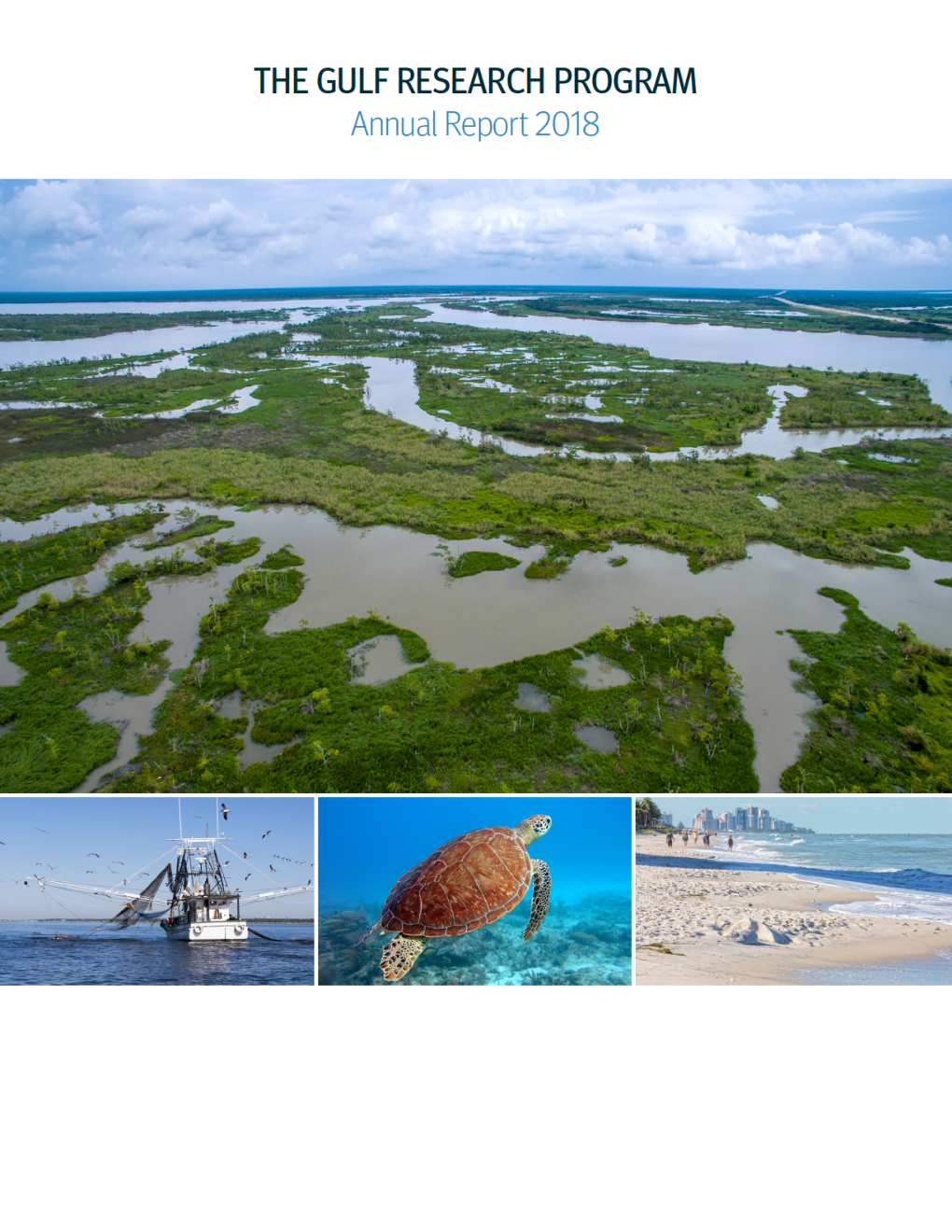 The Gulf Research Program Annual Report 2018 - Page 1