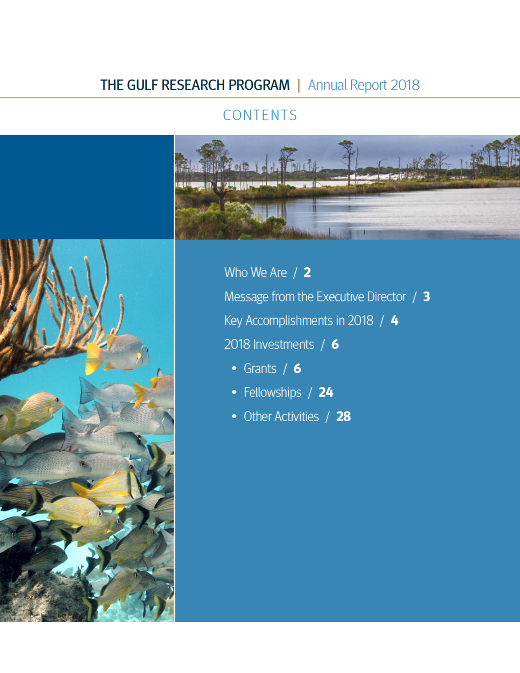 The Gulf Research Program Annual Report 2018 - Page 2
