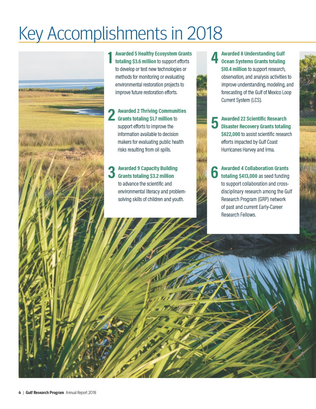 The Gulf Research Program Annual Report 2018 - Page 4