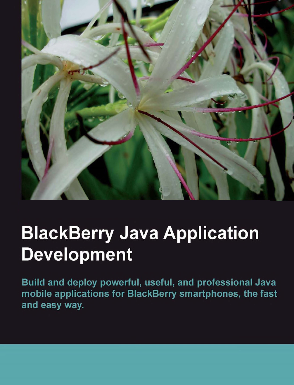 Black Berry Java Application Development - Page 1