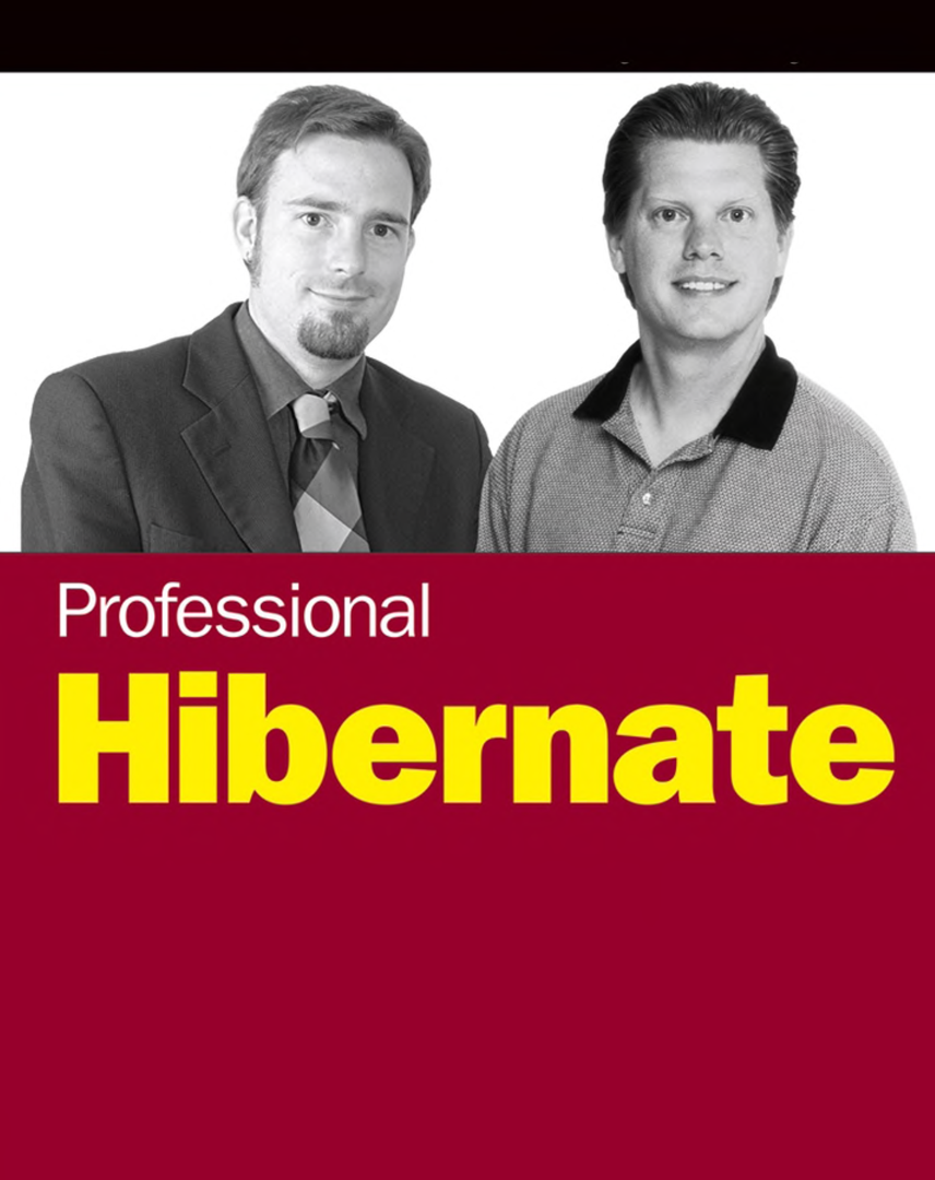 Professional Hibernate - Page 1