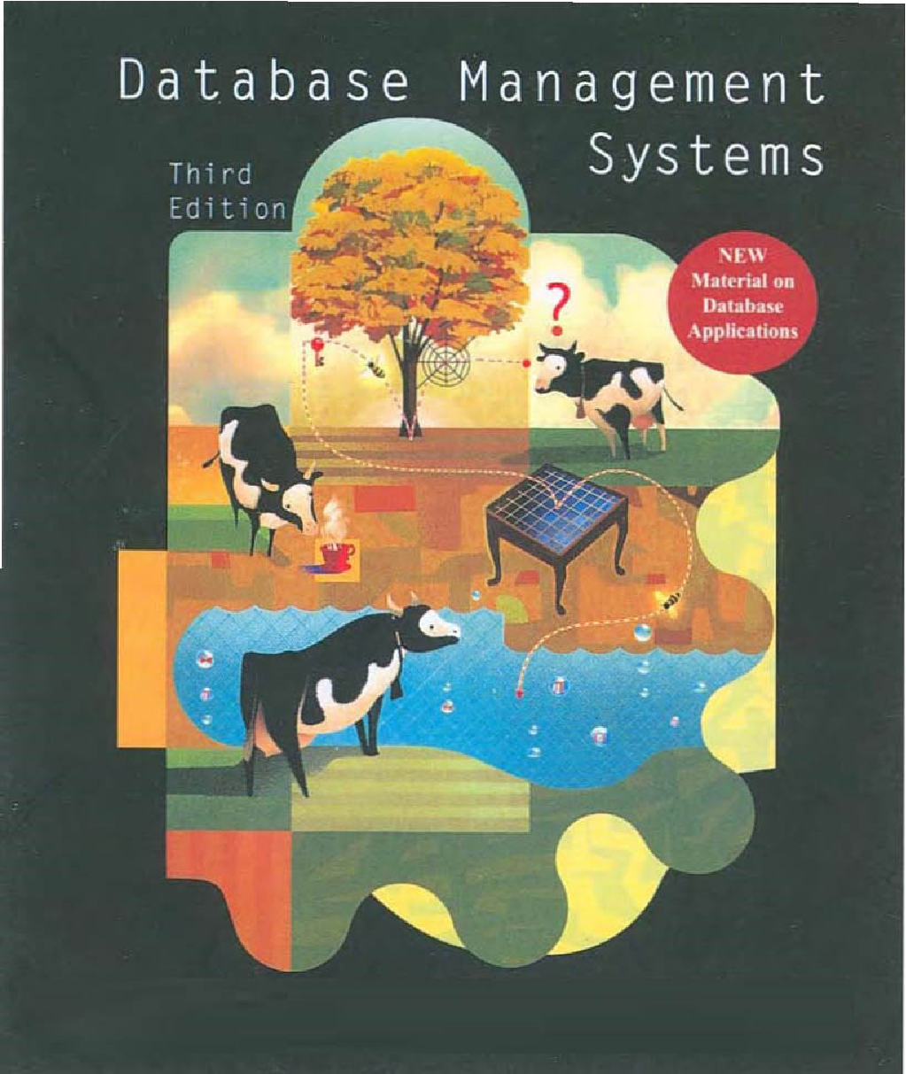 Database Management Systems Third Edition - Page 1