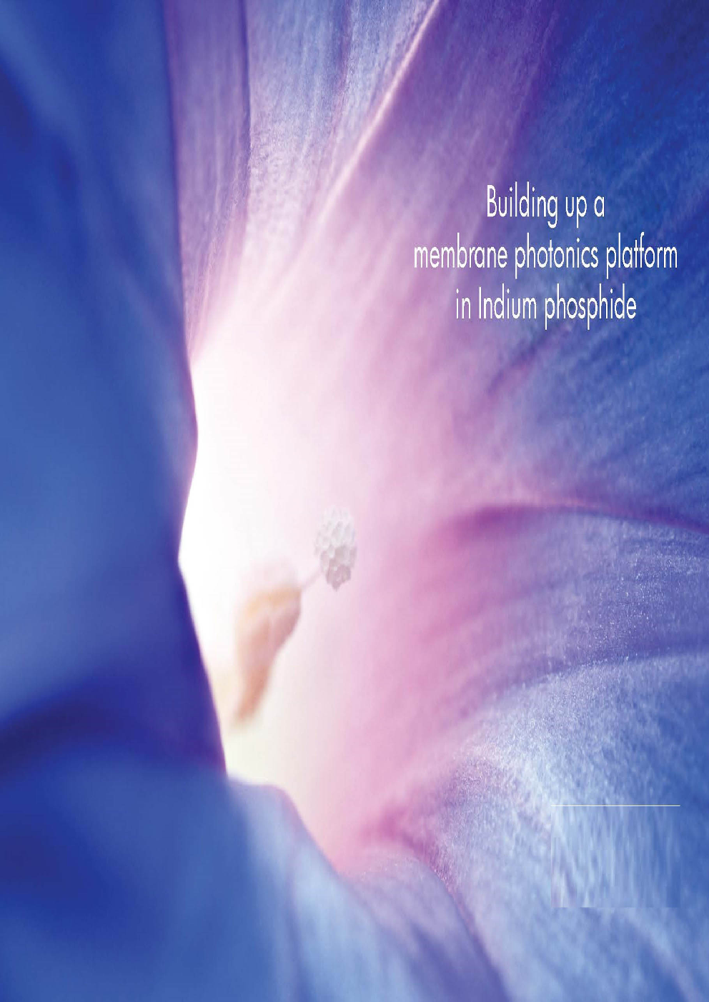 Building up a Membrane Photonics Platform In Indium Phosphide - Page 1