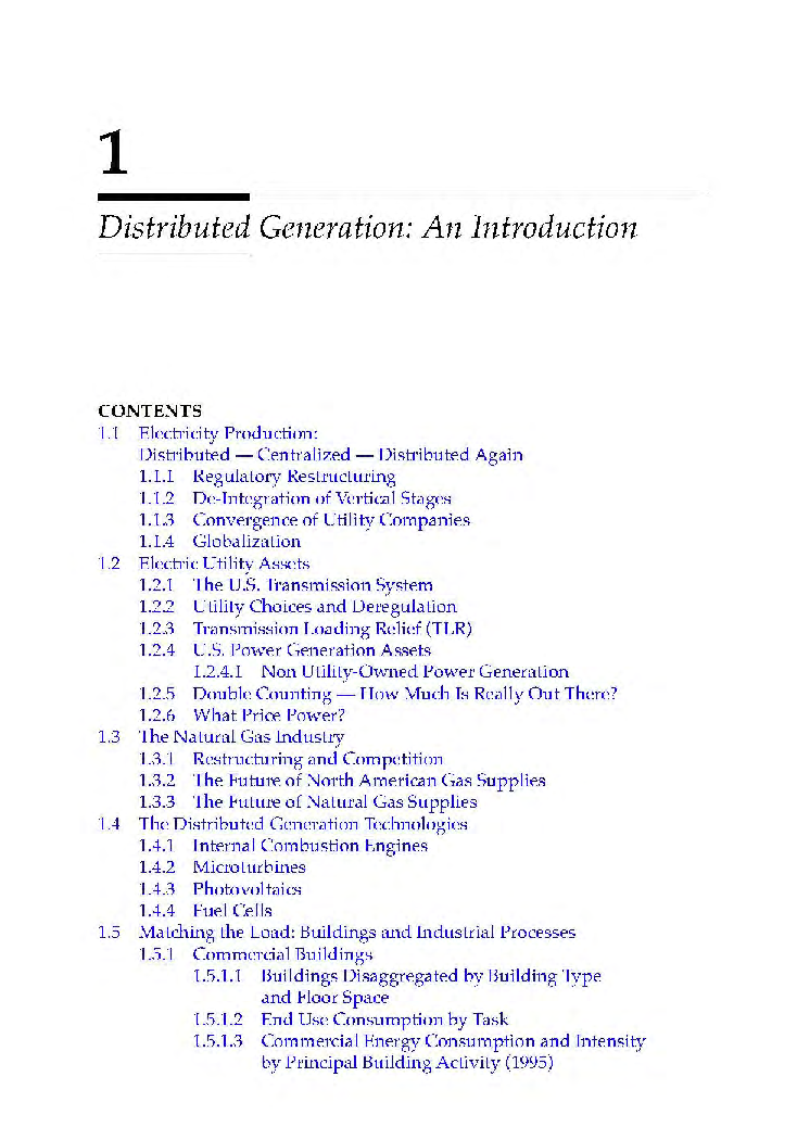Distributed Generation The Power Paradigm For the New Millennium - Page 4