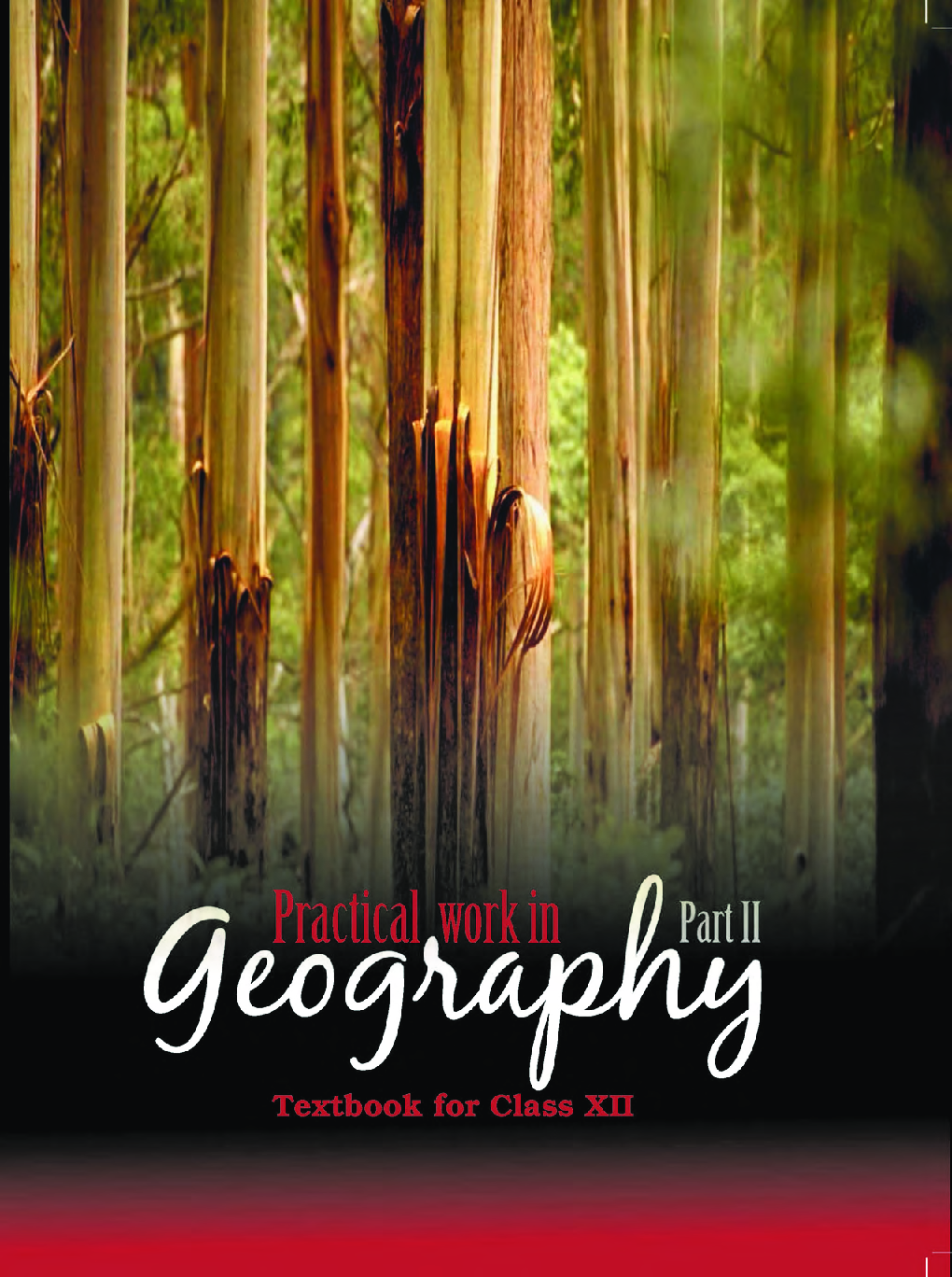 NCERT Practical Work in Geography Part-II Textbook For Class-XII - Page 1