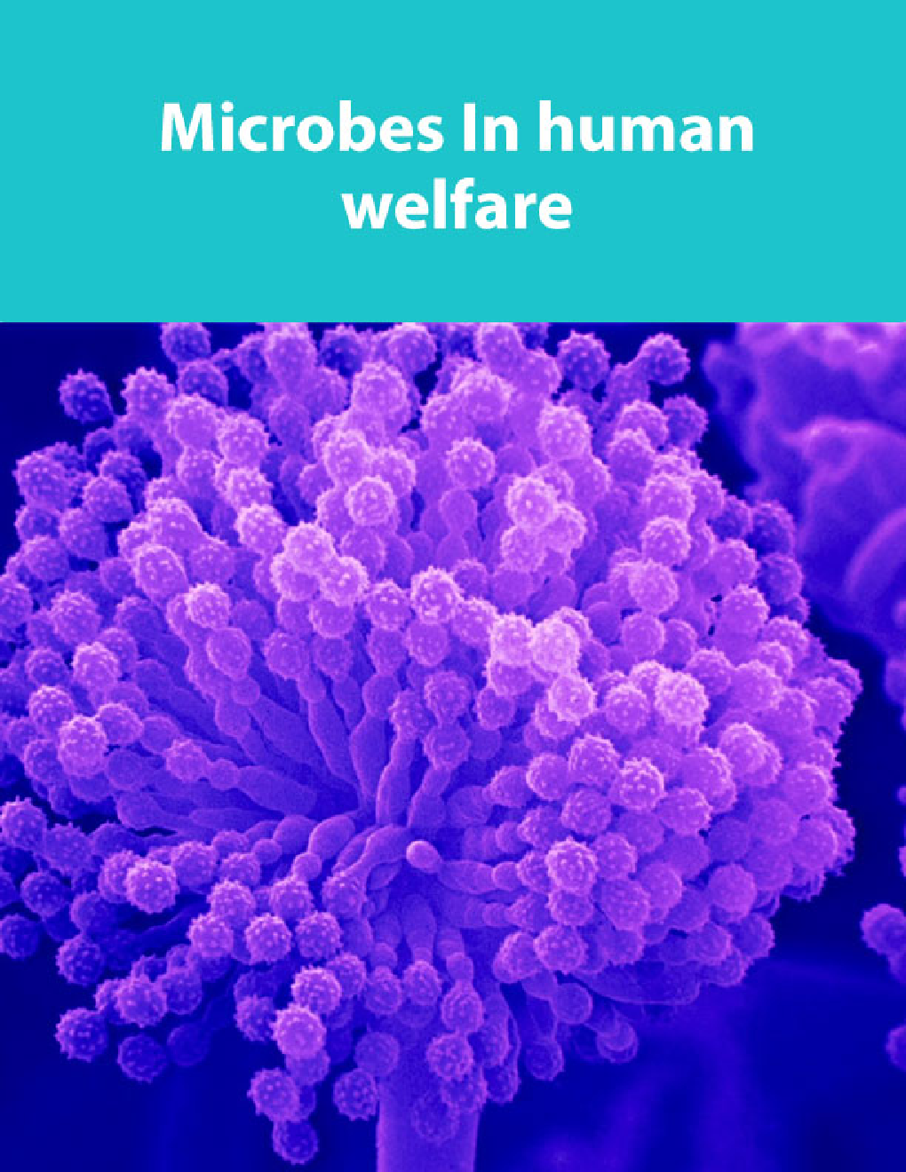 Microbes In human welfare - Page 1