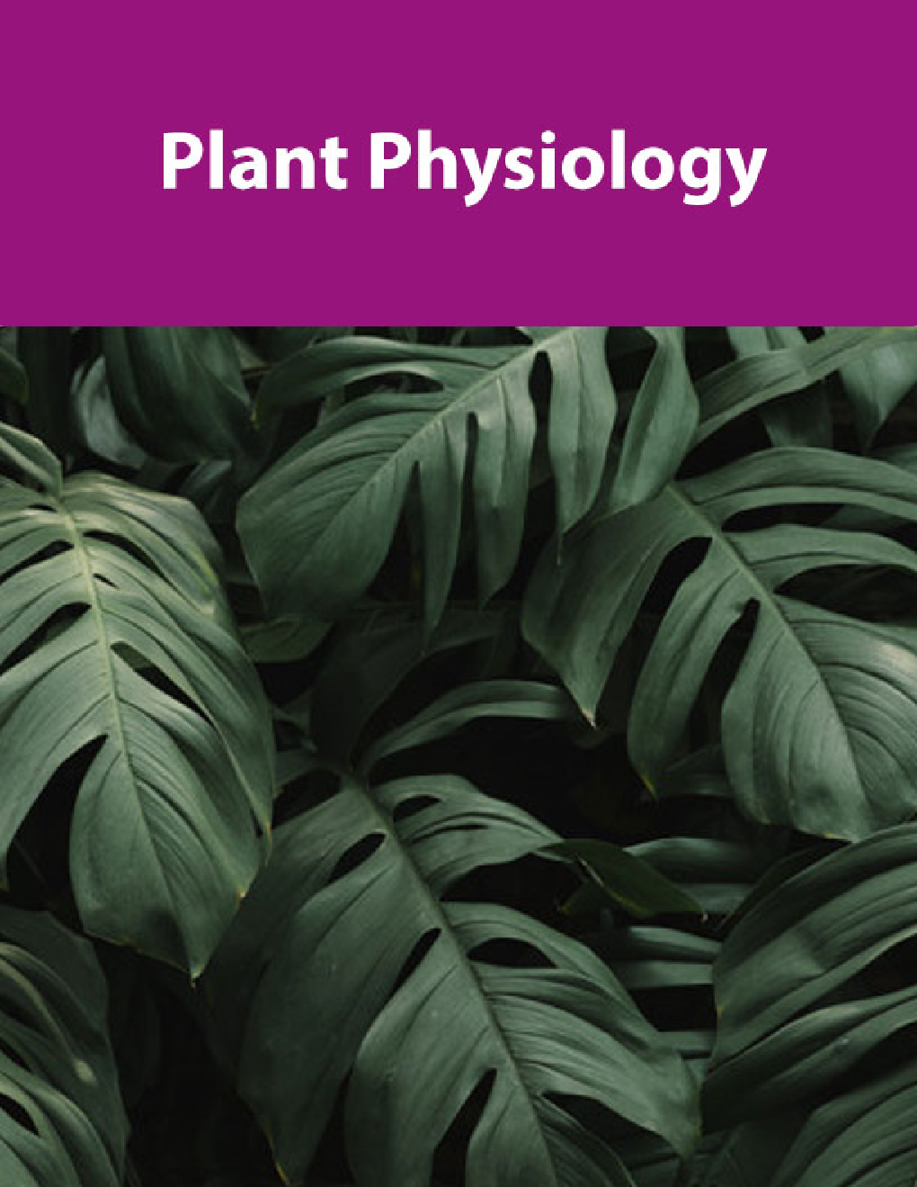 Plant Physiology - Page 1