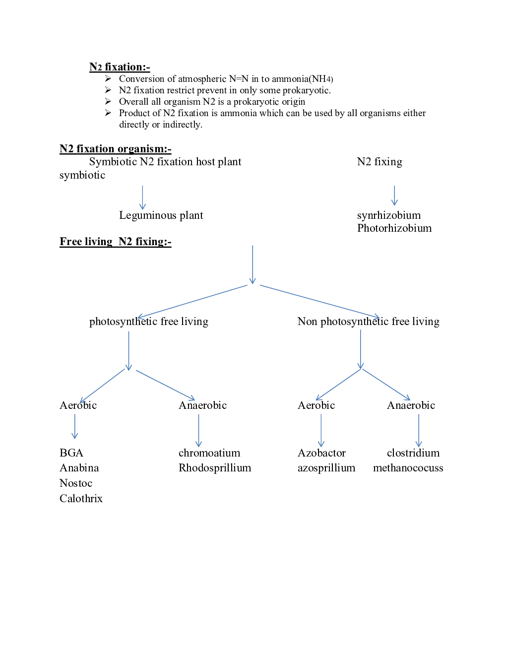 Plant Physiology - Page 3