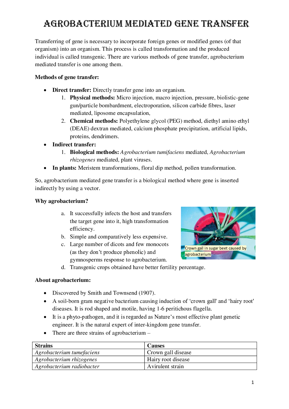 Agrobacterium - Page 3