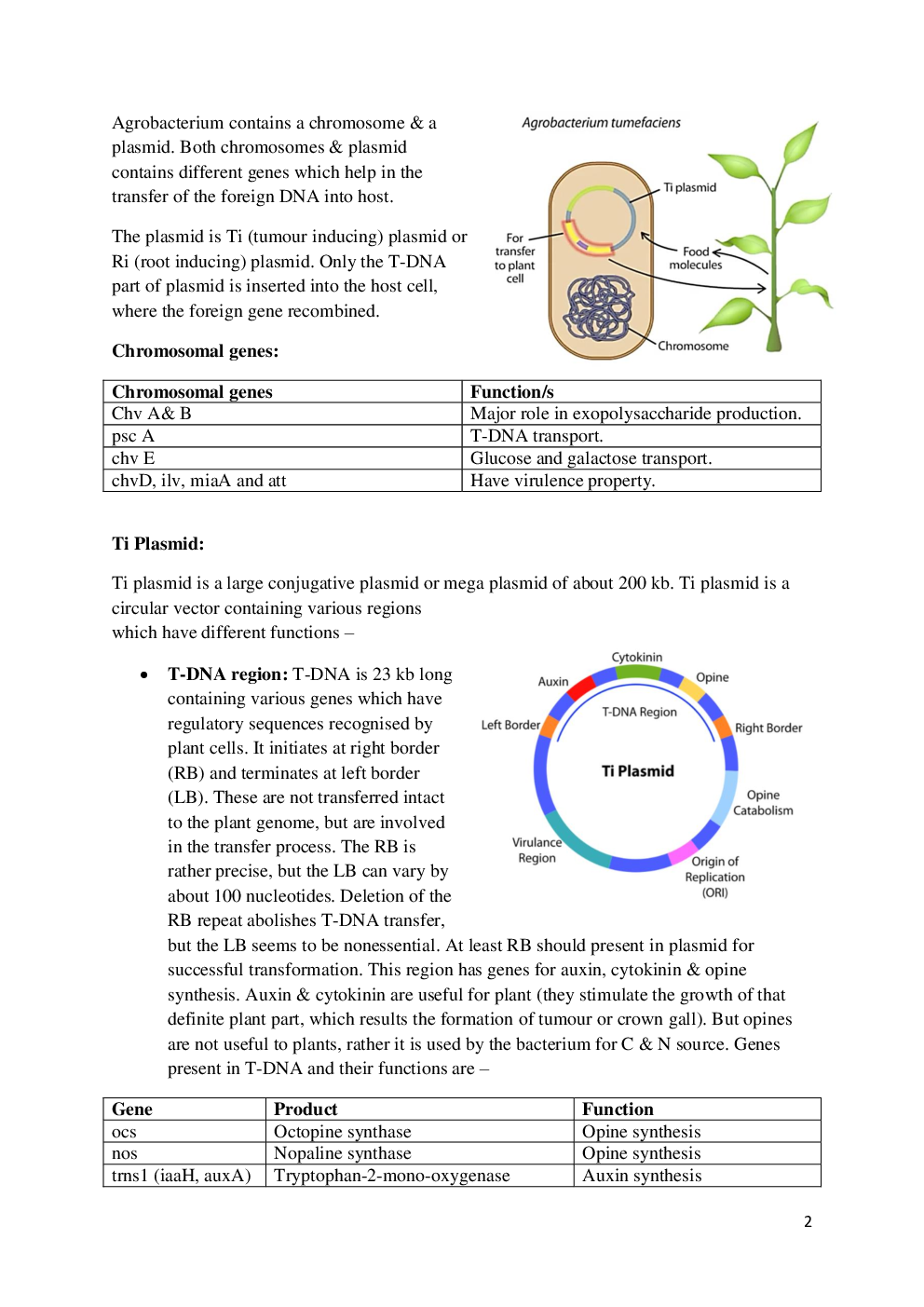 Agrobacterium - Page 4