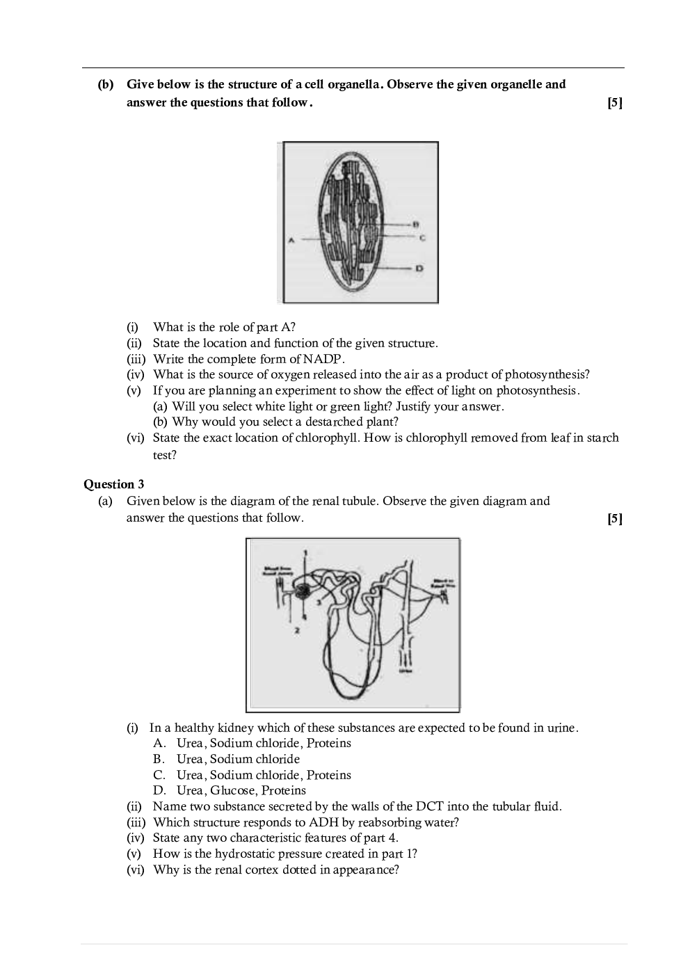 ICSE Model Question Papers For Biology Class 10 - Page 5