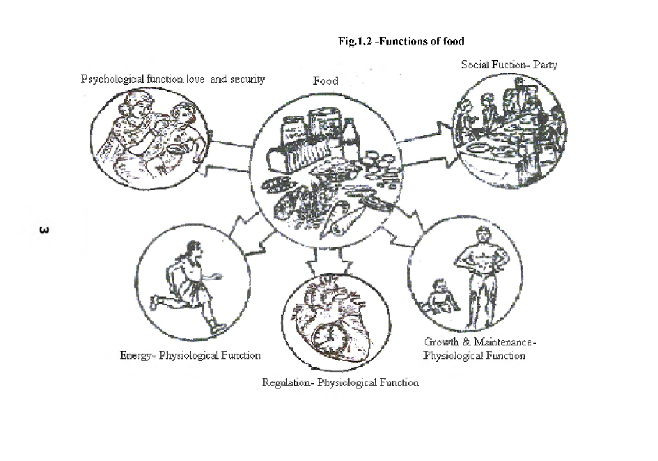 UGC NET Home Science Study Material Nutrition And Dietetics - Page 5