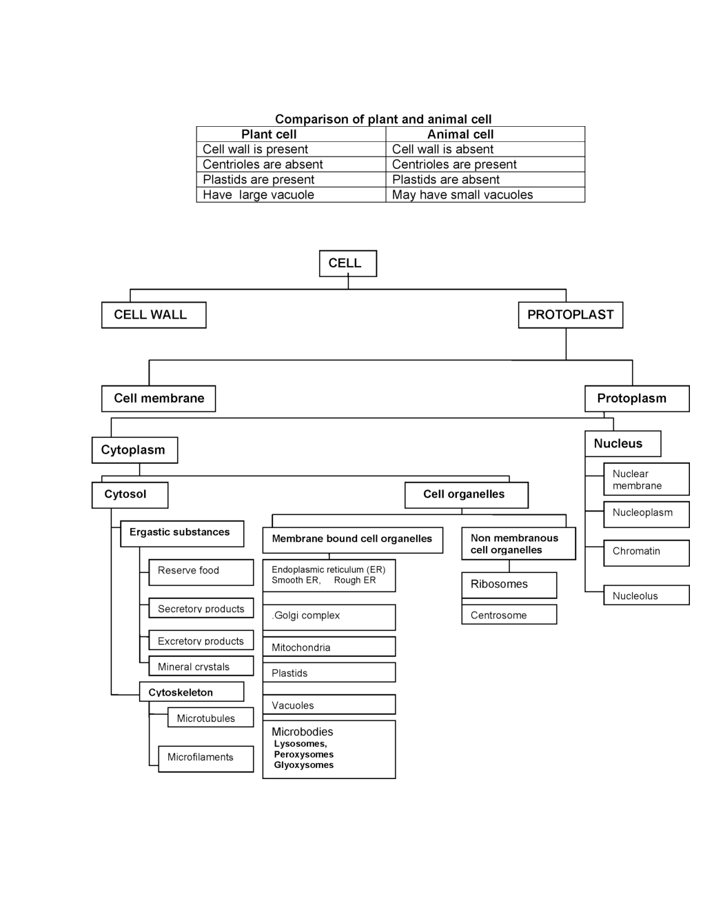 Olympiad Science Study Material For Class-9 Part-2 - Page 4