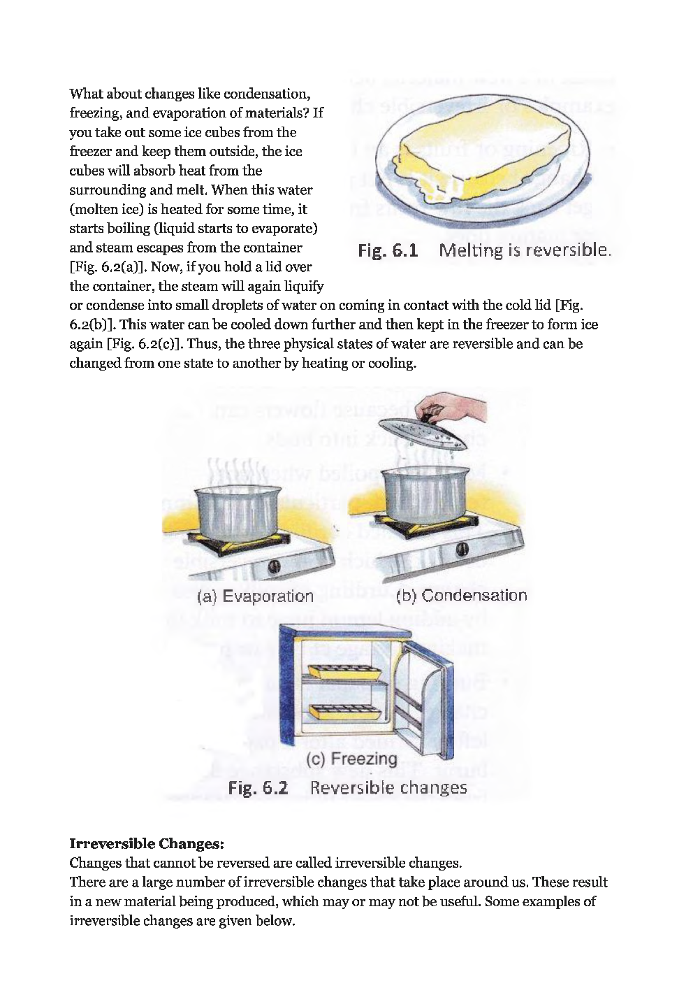 Olympiad Class 6 Topic Wise MCQs Science - Page 5