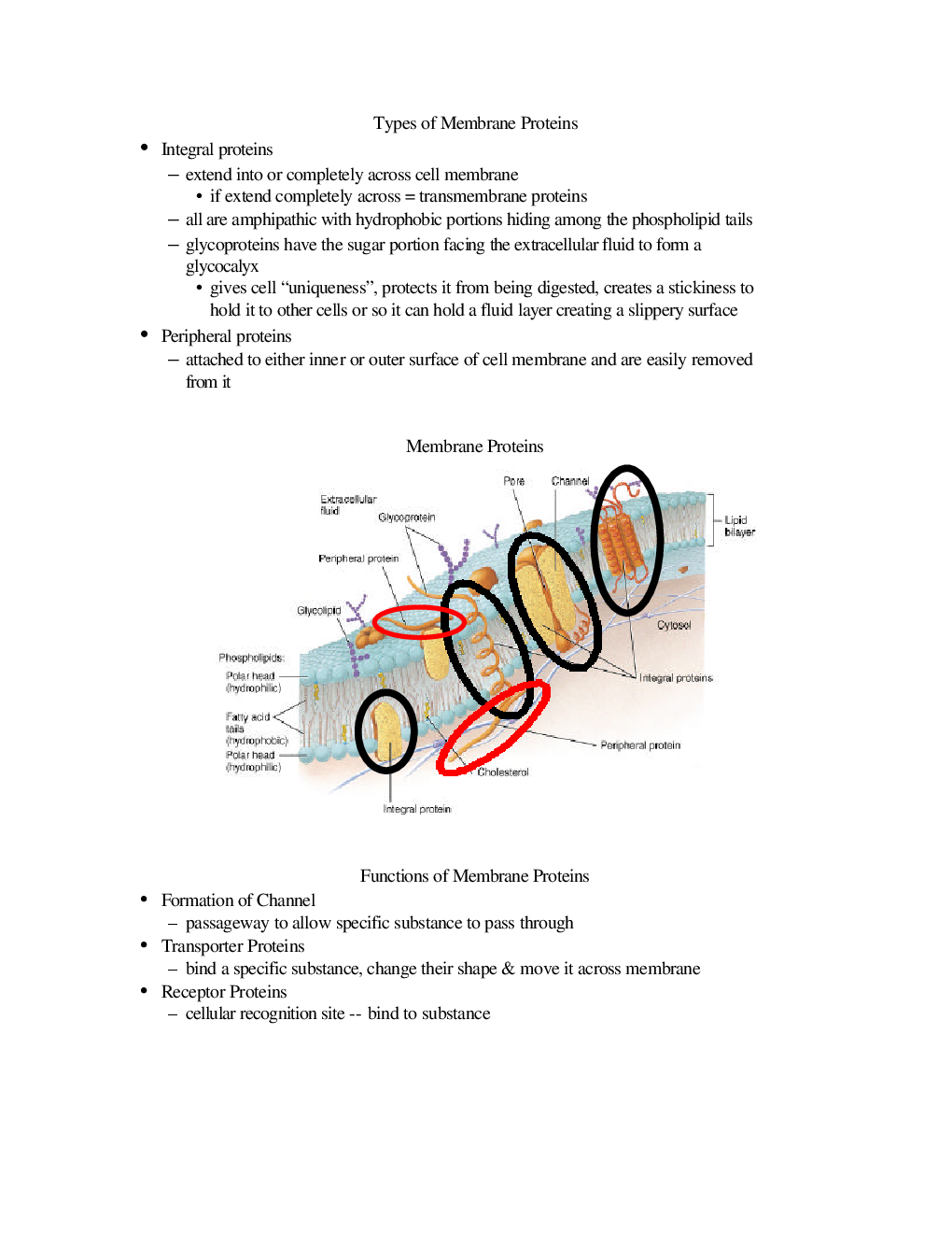 CSIR NET Life Science Study Material Cellular Organization - Page 5