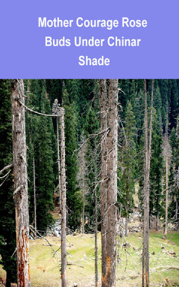 Mother Courage Rose Buds Under Chinar Shade - Page 1