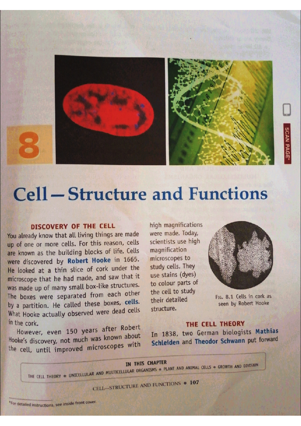 Class 8 Science Cell - Structure And Function - Page 2