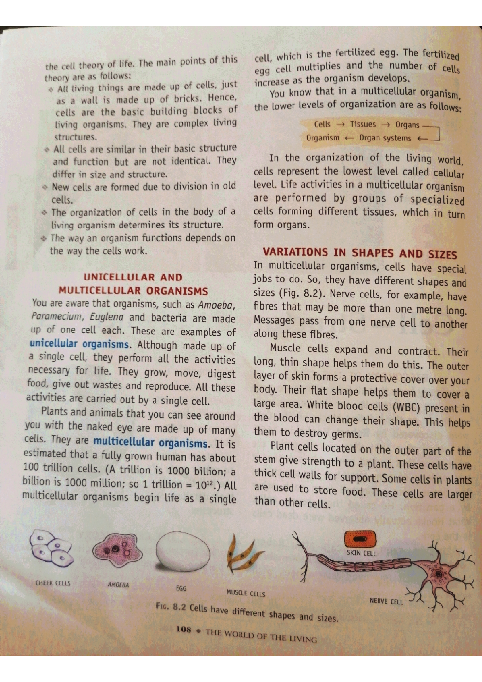 Class 8 Science Cell - Structure And Function - Page 3