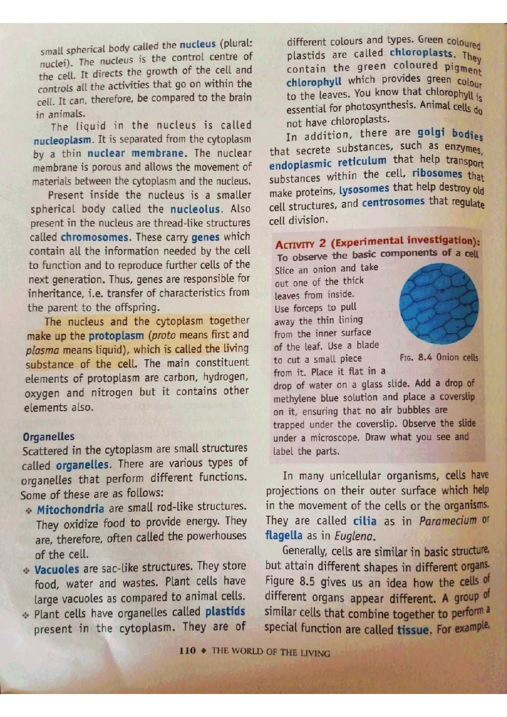 Class 8 Science Cell - Structure And Function - Page 5
