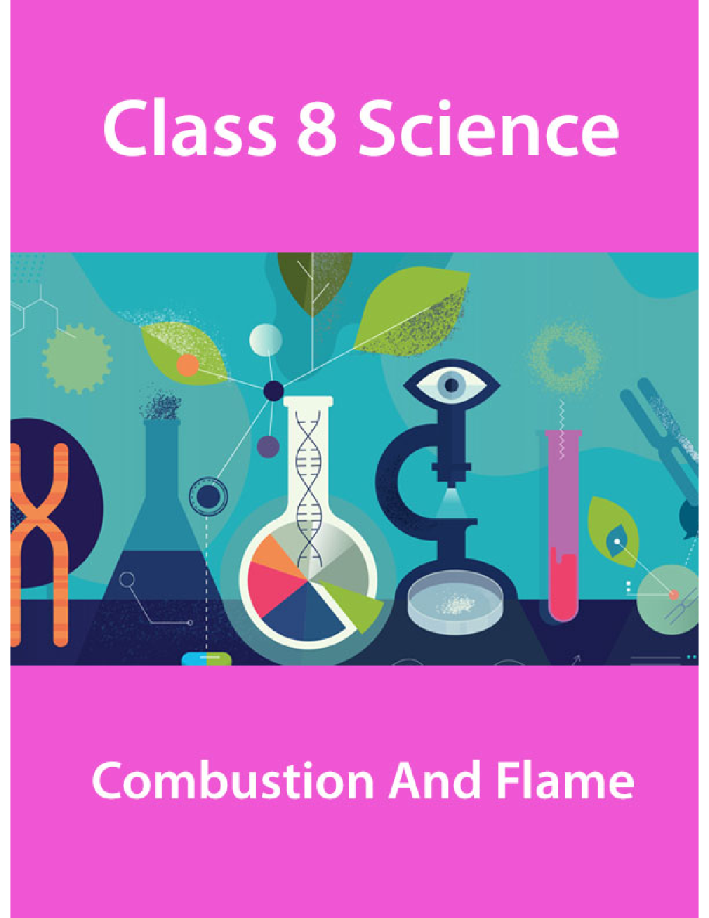 Class 8 Science Combustion And Flame - Page 1