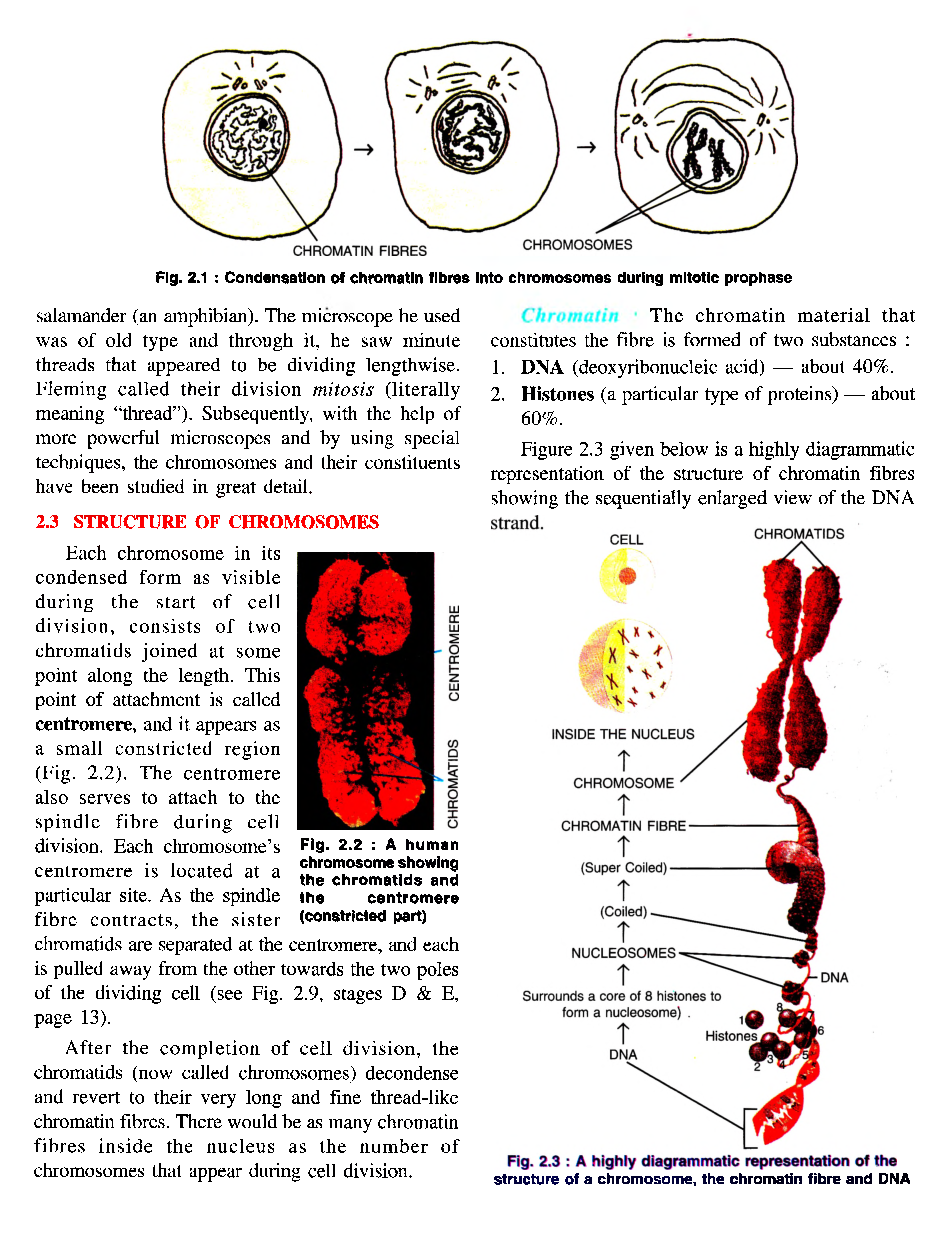 Selina ICSE Solutions Class-10th Biology - Page 4